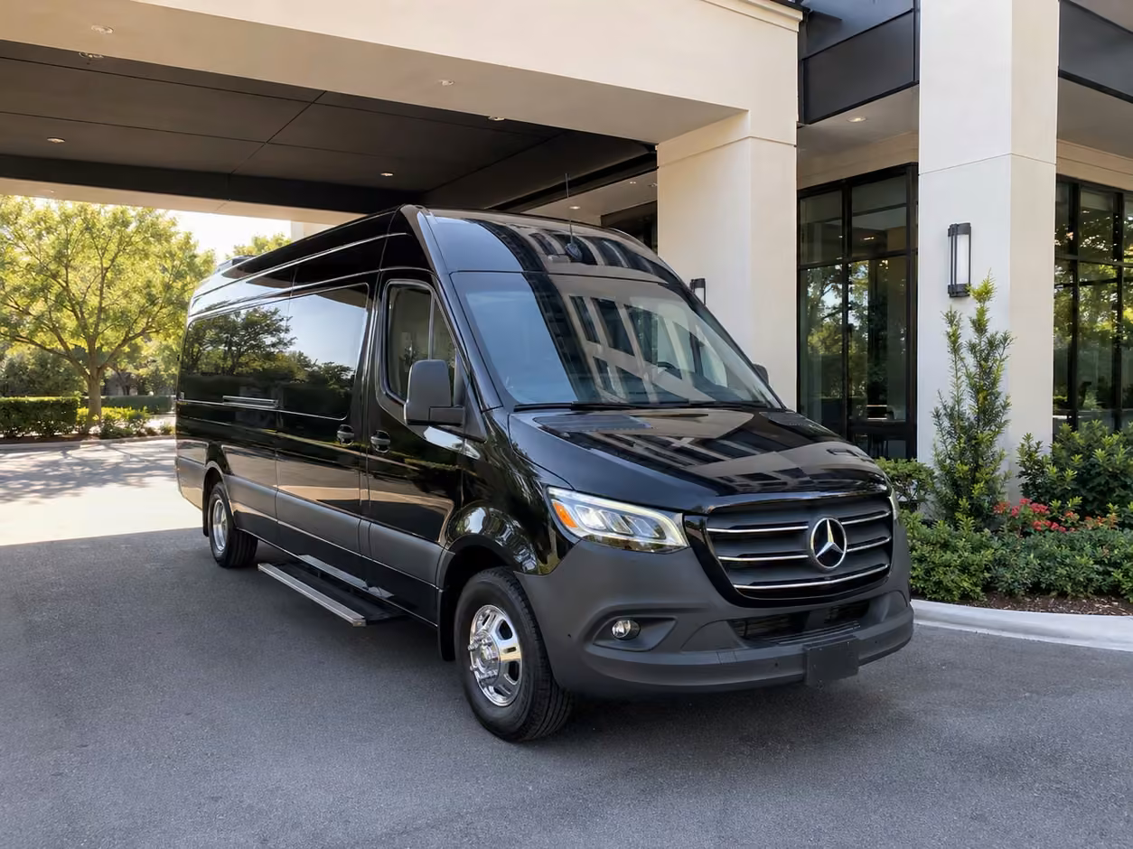 14 passenger sprinter limousine
